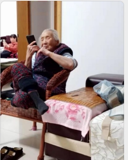 那只逮老鼠的猫老被绳子拴着