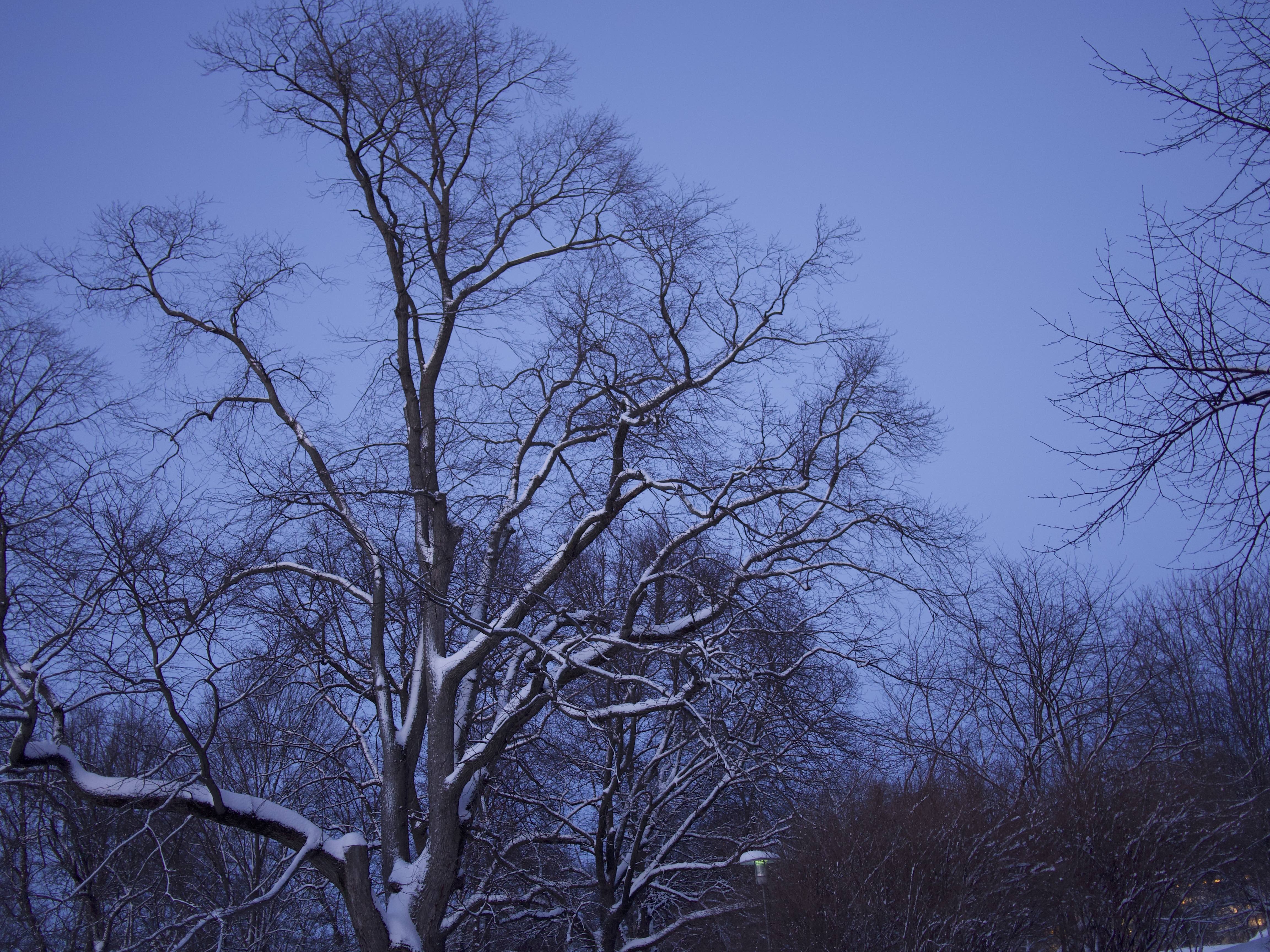 寒冬将至，2019冬季的魔力Taikatalvi-芬兰冬季文化营回顾