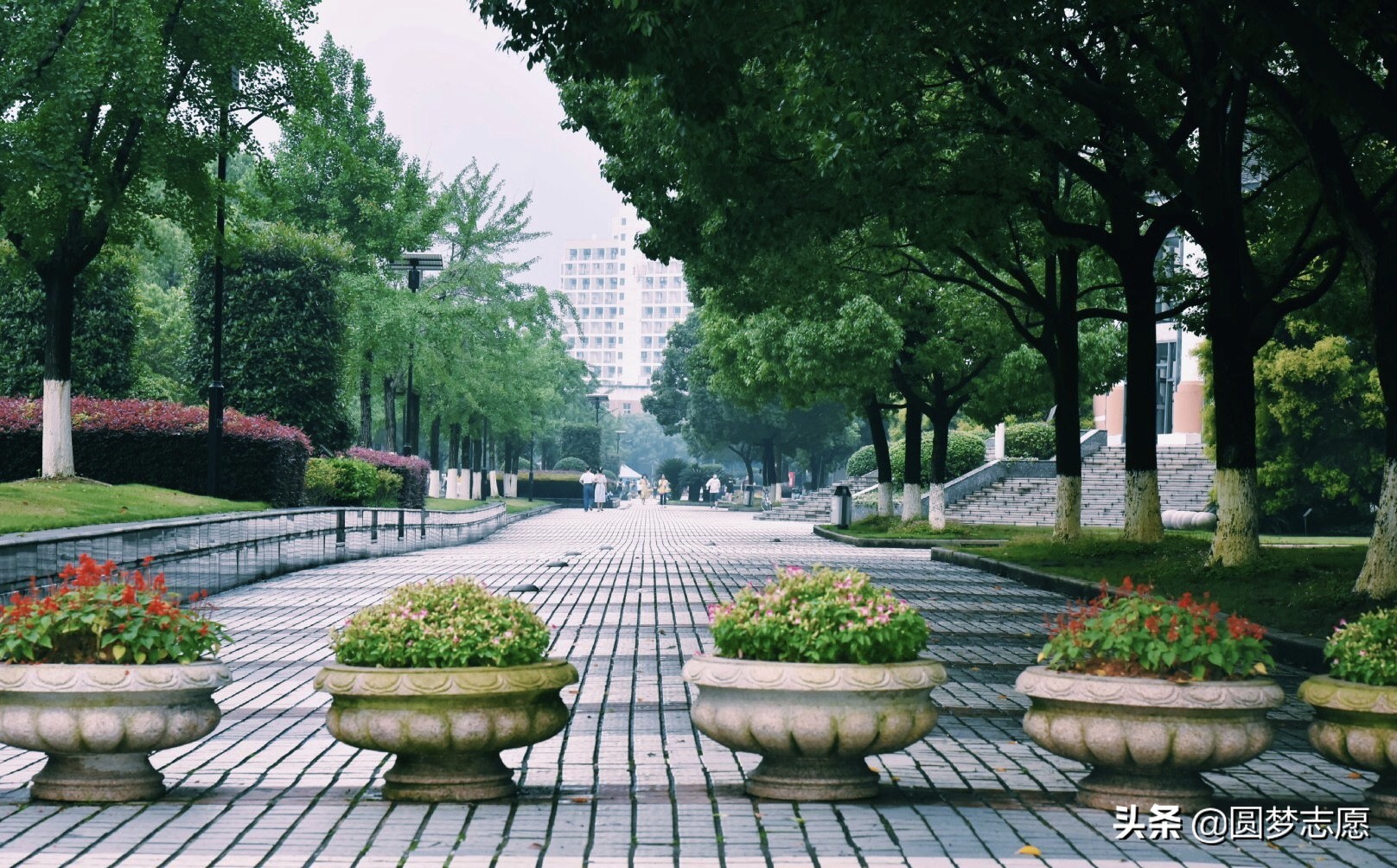 央行二本大学推荐,比较受银行欢迎的财经大学排名