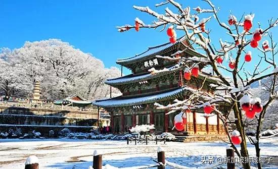 新加坡留学签证怎么办理流程,在新加坡办理芬兰签证要多久