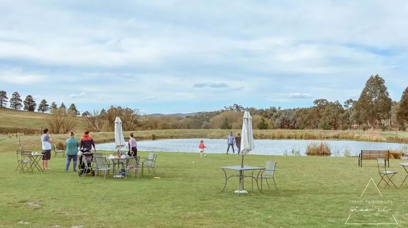 澳洲|春意堪培拉,看袋鼠、品酒、赏花、住进动物的家