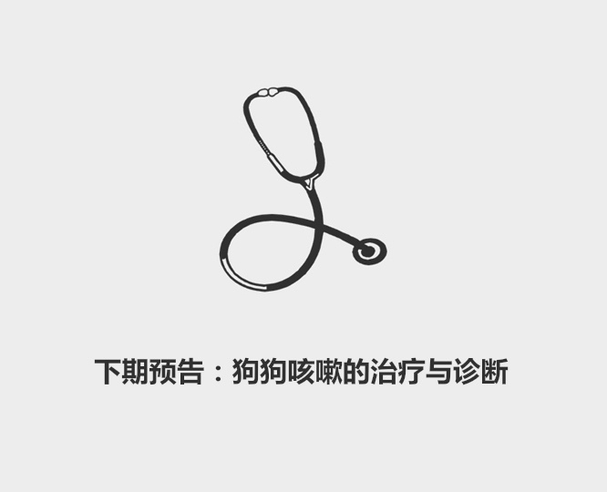 花露水刺激不刺激狗,花露水防狗狗臭味吗