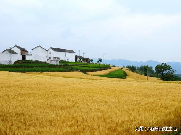 我的叔叔和婶婶用英文怎么说,叔叔婶婶的婚礼