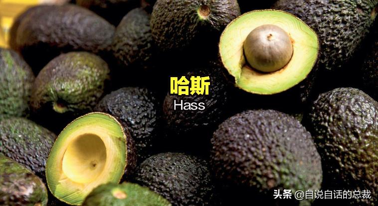 牛油果是坏了吗,牛油果几十年前