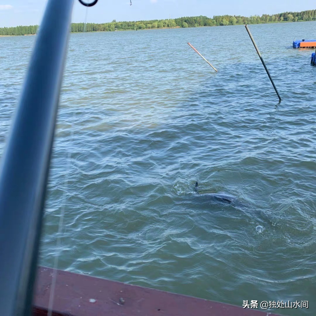 垂钓最好的乐趣,垂钓有什么益处