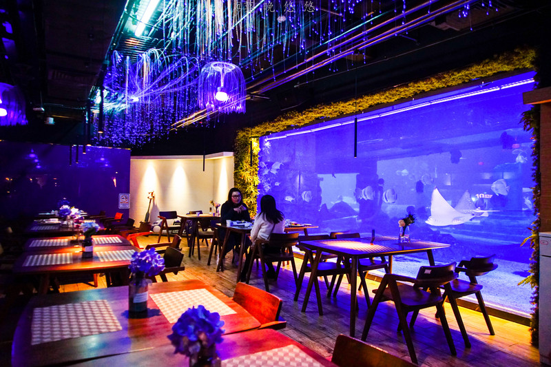 海洋极地海洋世界攻略,正佳极地海洋世界白鲸海象