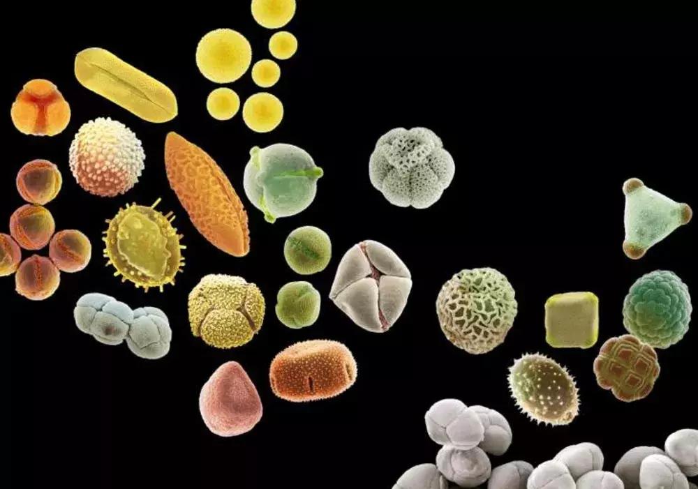 他送的情人节礼物，我居然过敏！