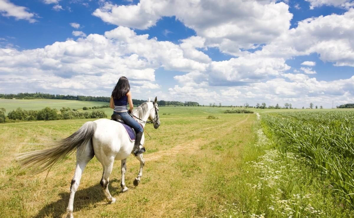 酒店淡季亏本怎么办,酒店亏损店如何快速盈利
