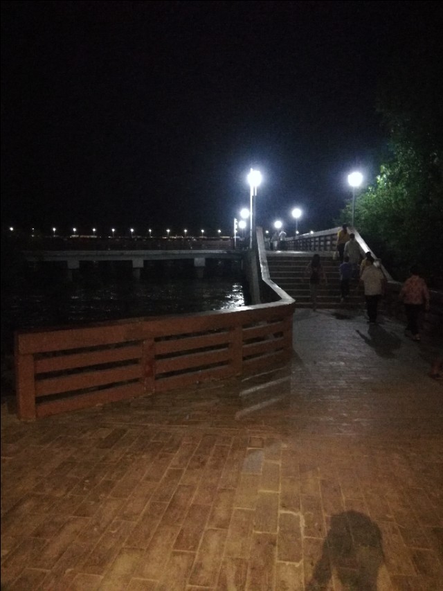 红树林发朋友圈句子,朋友圈吸引人的句子发呆