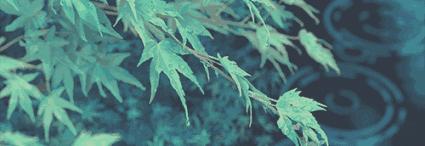 从男孩到男子汉养成之路,从男人到男子汉的变化过程