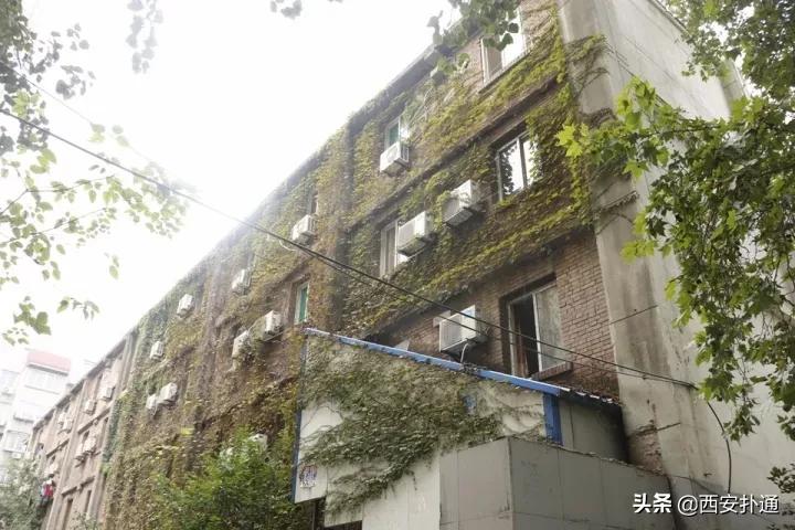 西安城西的发展,这届年轻人为何格外青睐主旋律剧