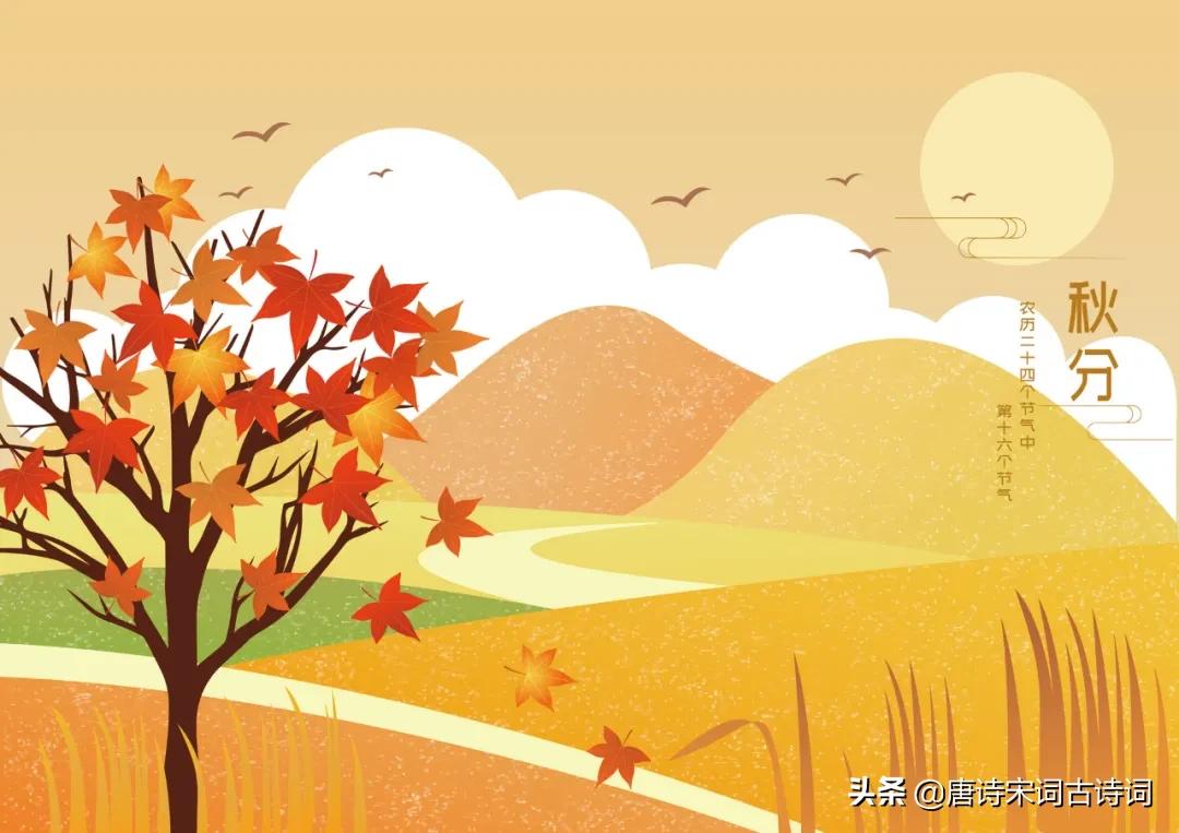 今日秋分轻寒正是可人天,风清露冷秋期半是什么意思