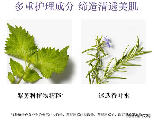 百花词测评,百花词