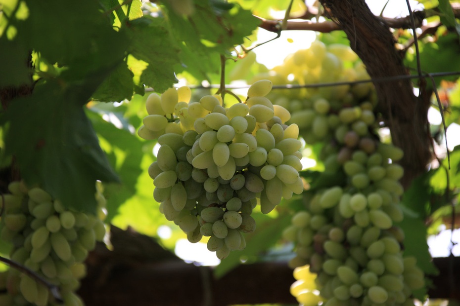 米亚罗-大美理礼县