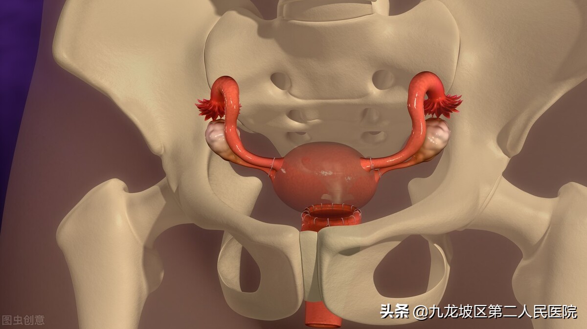 女性都应了解的hpv真相,女性如何察觉自己感染了hpv