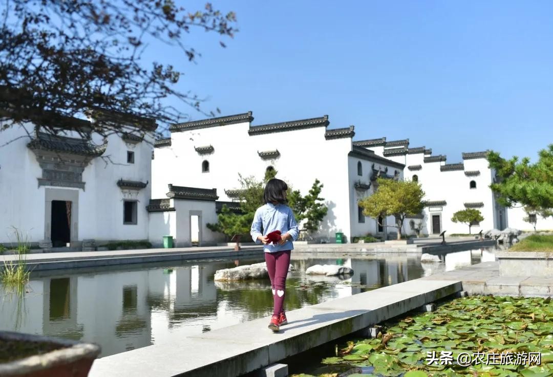 逛水城、登大涪山、吃湖鲜...长荡湖邂逅属于你的秋