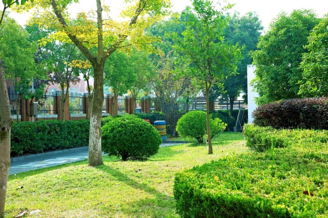 南通实验小学招生公告,南通市实验小学北校区施教区域