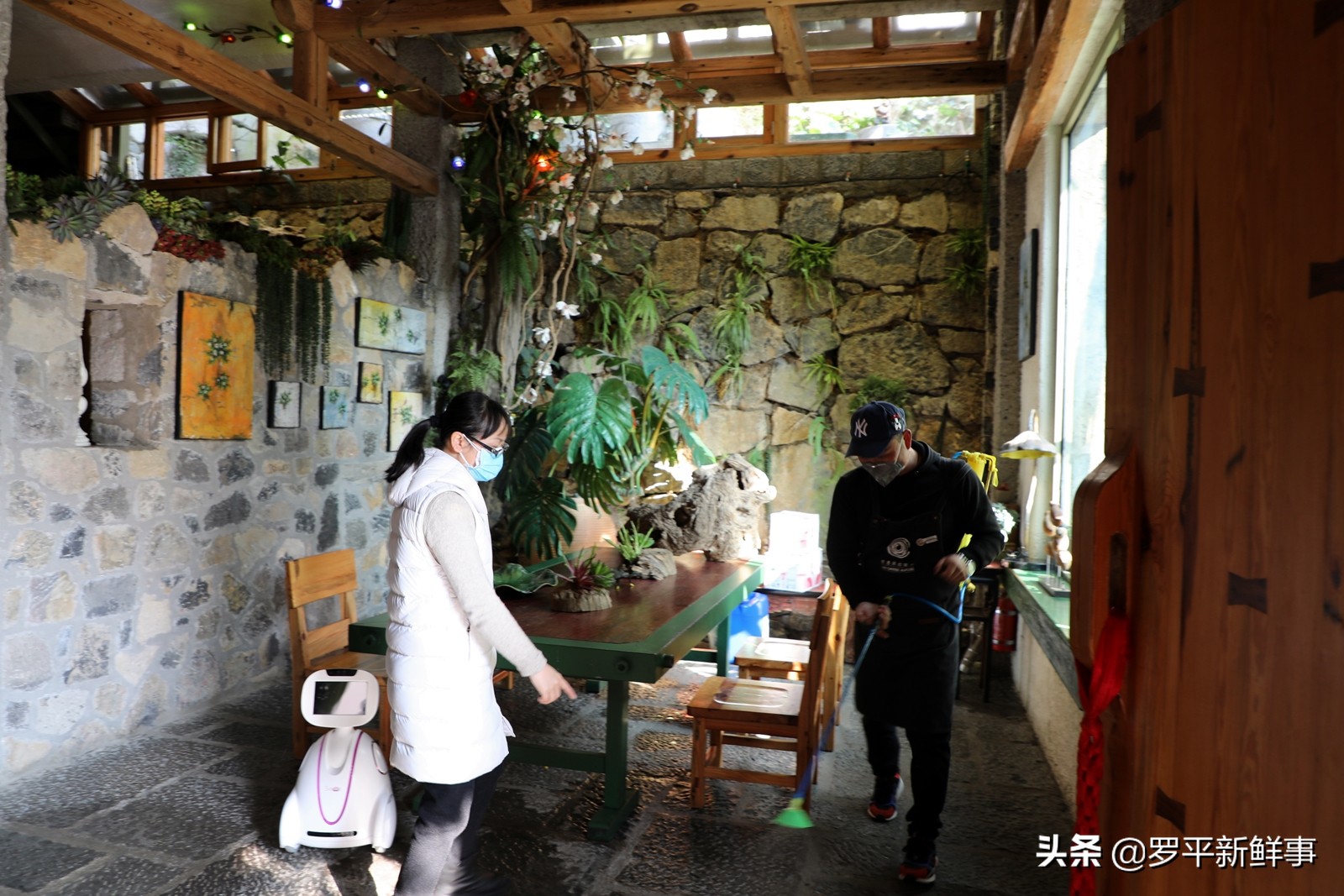 罗平县城最繁华的街道是哪里,罗平县城最繁华在哪里