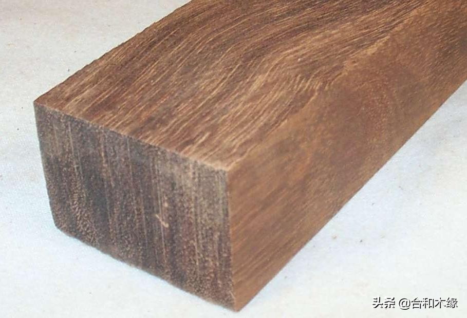 谈檀健次现场版,中美洲黄檀与中美洲酸枝