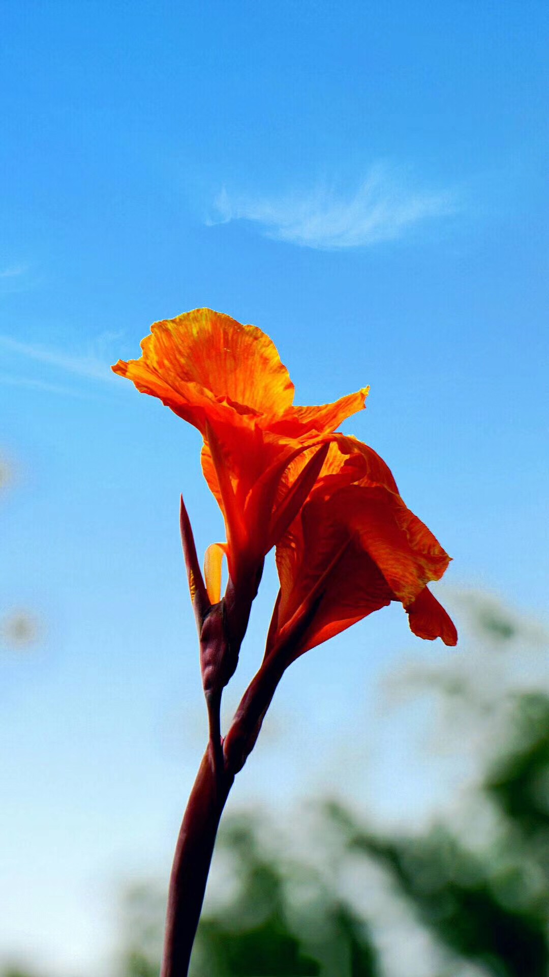 护肤抗皱祛痘,皮肤怎么补水祛痘好得快