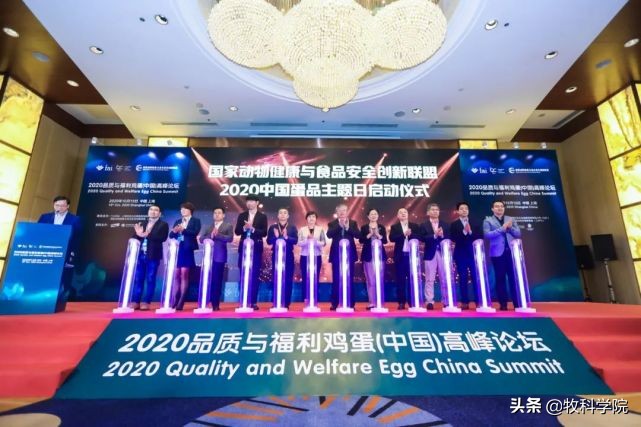 动物福利与健康管理,动物福利的核心