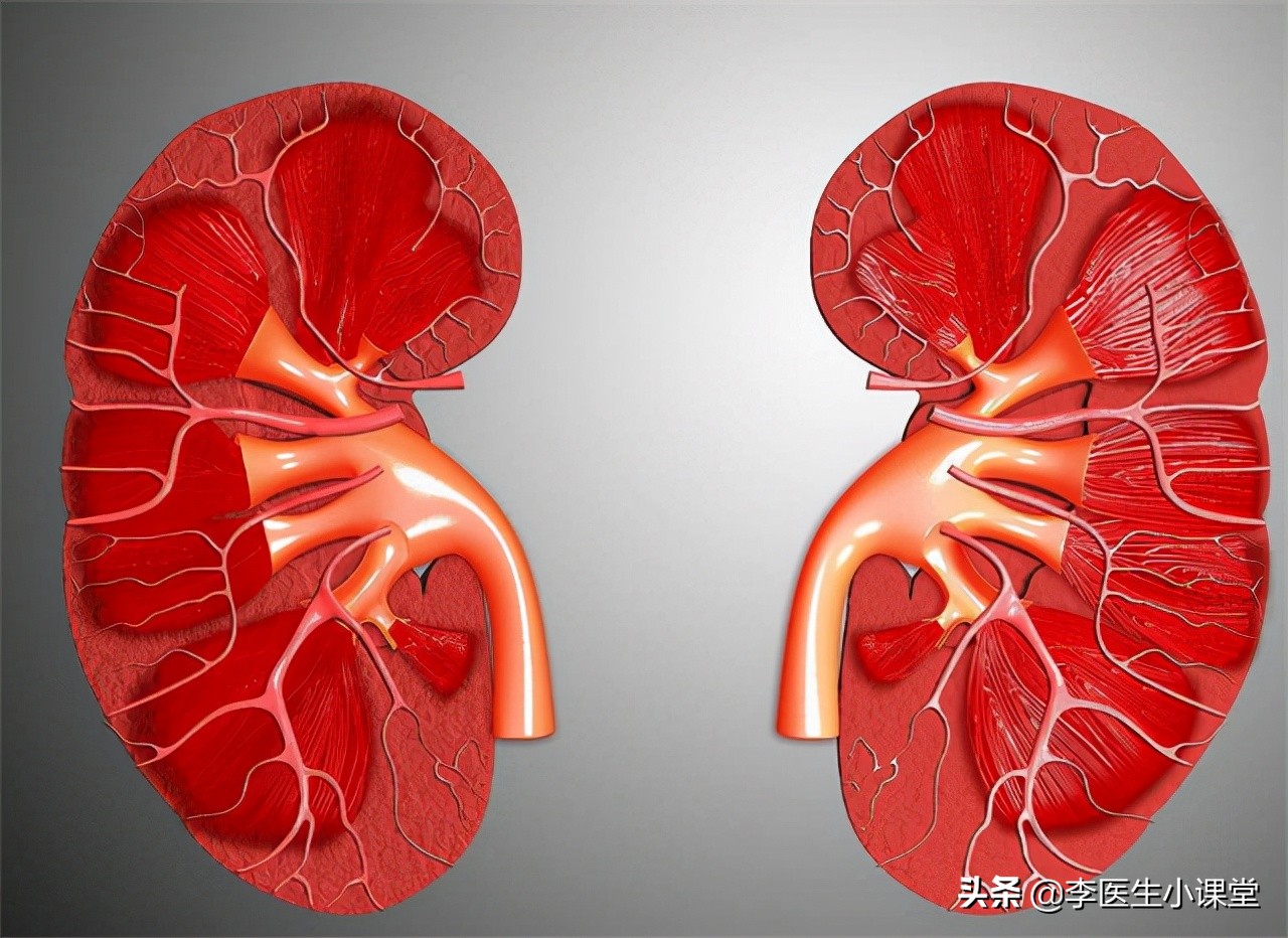如何保护肾功能避免肾衰竭,肾衰竭怎么做能保护剩下的肾功能