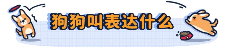 狗言狗语,中国的狗和外国的狗语言一样吗