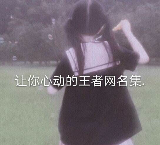 让人一眼惊艳的王者荣耀网名,收集一些好听的网名王者荣耀