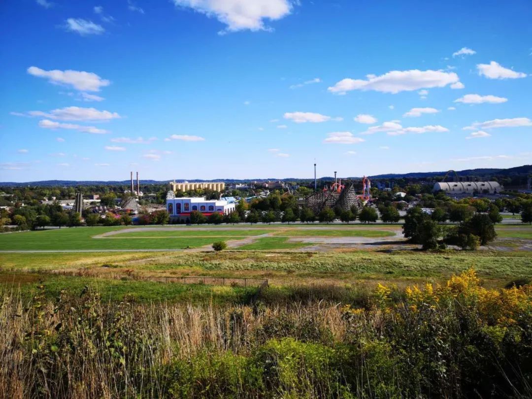 纽约疫情日记蓝蓝,纽约复工记