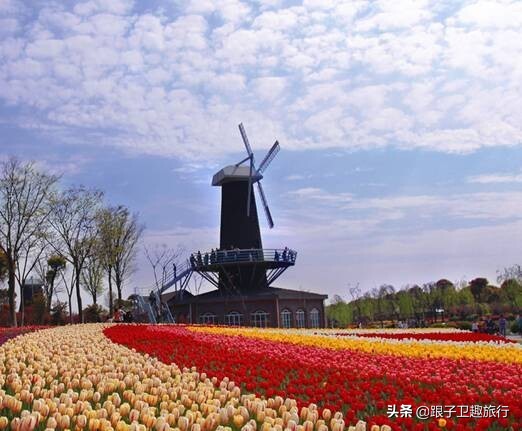 上海法租界十大必去景点图片,2022上海亲子游必去的14个景点