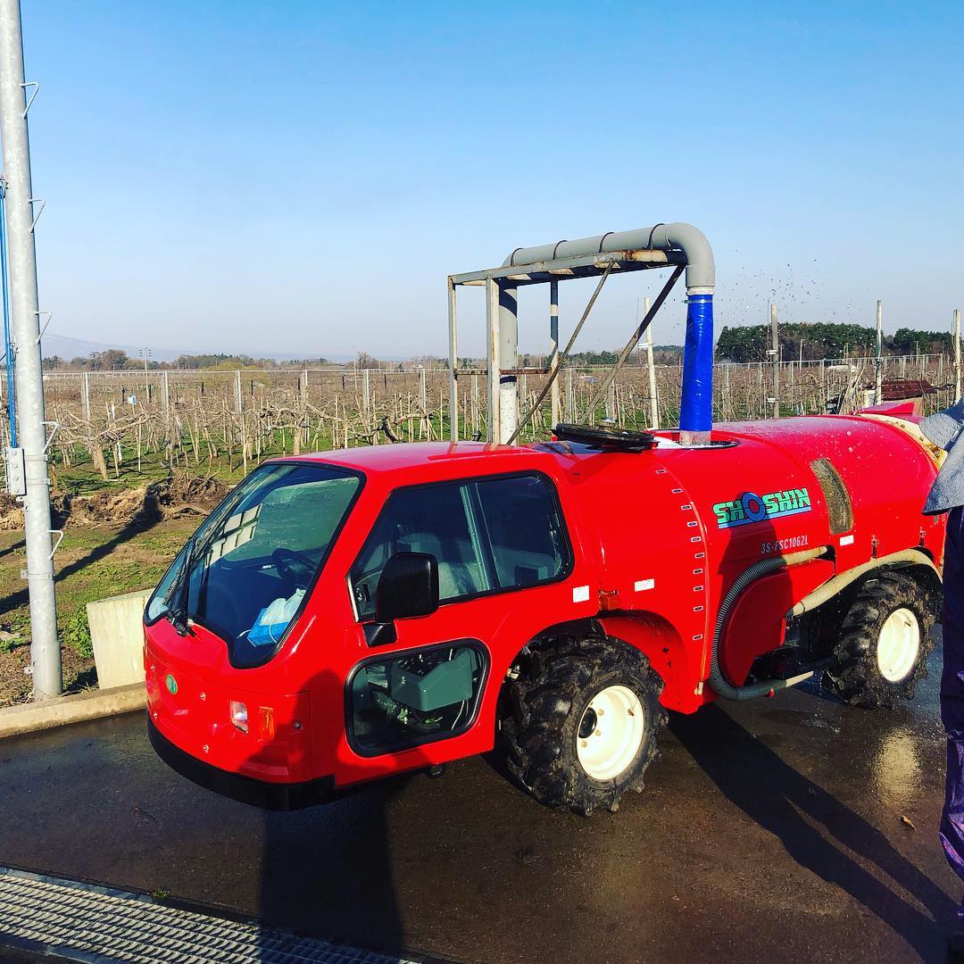 日本青森苹果图片,走进青森苹果园