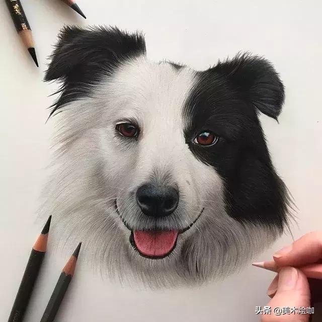 画的比照片还逼真,画的比照片还真实