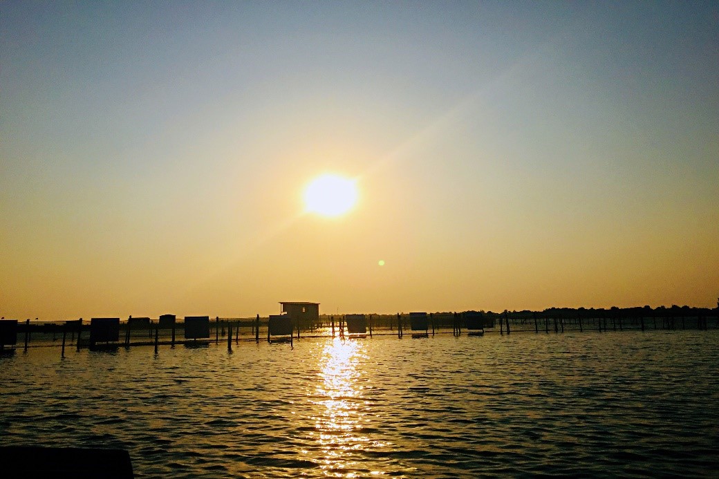 苏州阳澄湖吃蟹住哪个酒店,下榻酒店进餐