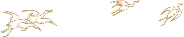 每日一字慧,每日一字汇