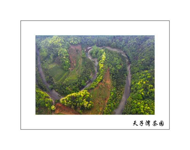 母亲河长江旅游,游黄河入海口的感受