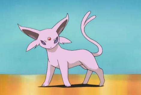 宝可梦18种属性的伊布,精灵宝可梦太阳伊布图片