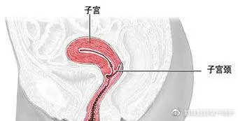 男性的4个行为很伤女性的子宫,最伤子宫的行为男性应熟知