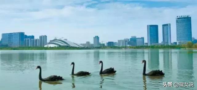 合肥各个区pk郑州,合肥是全国最漂亮的城市吗