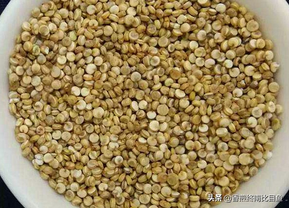 火遍全网的特产试吃,火遍全网的食物