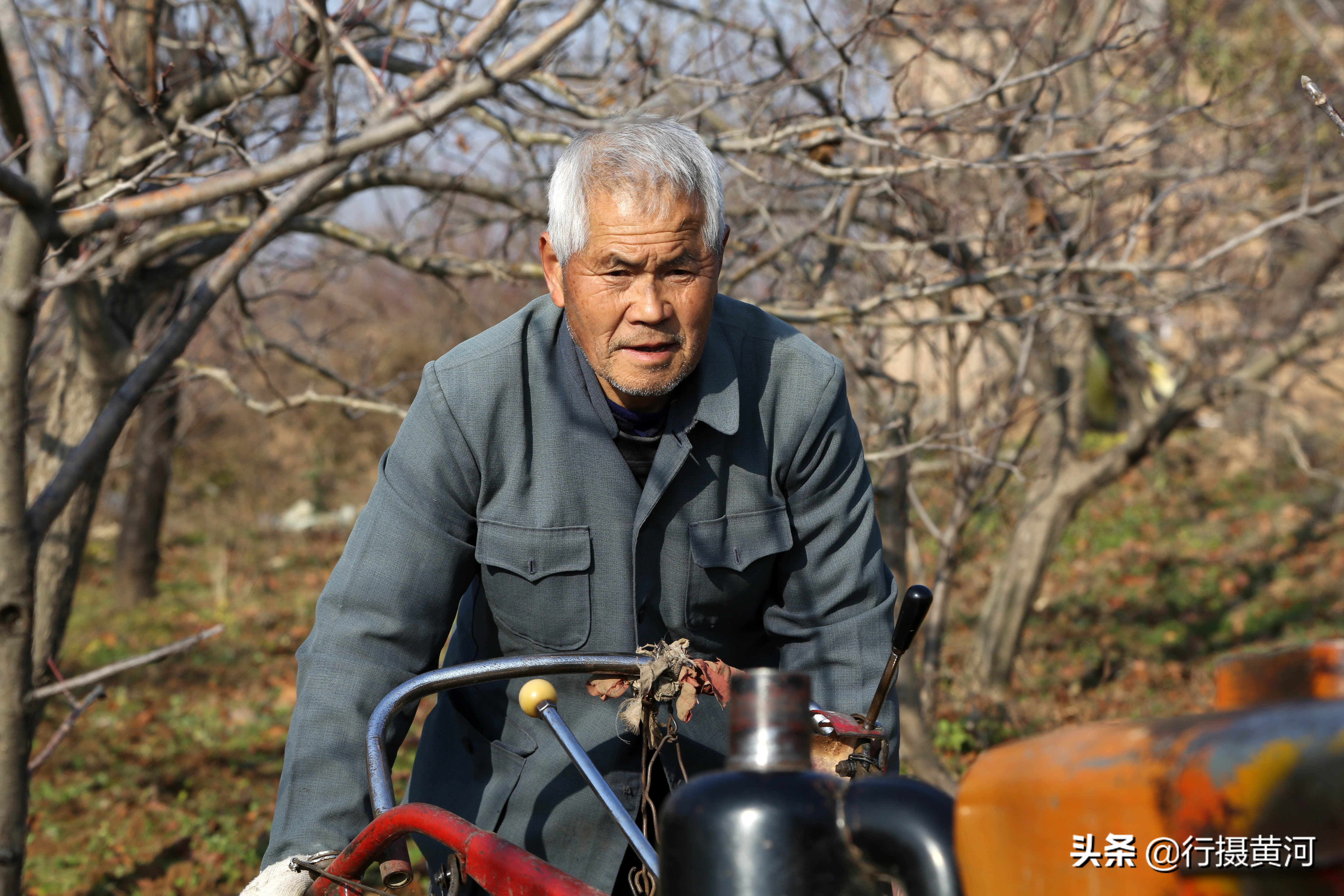 1985老铁牛55型拖拉机,铁牛力大无穷