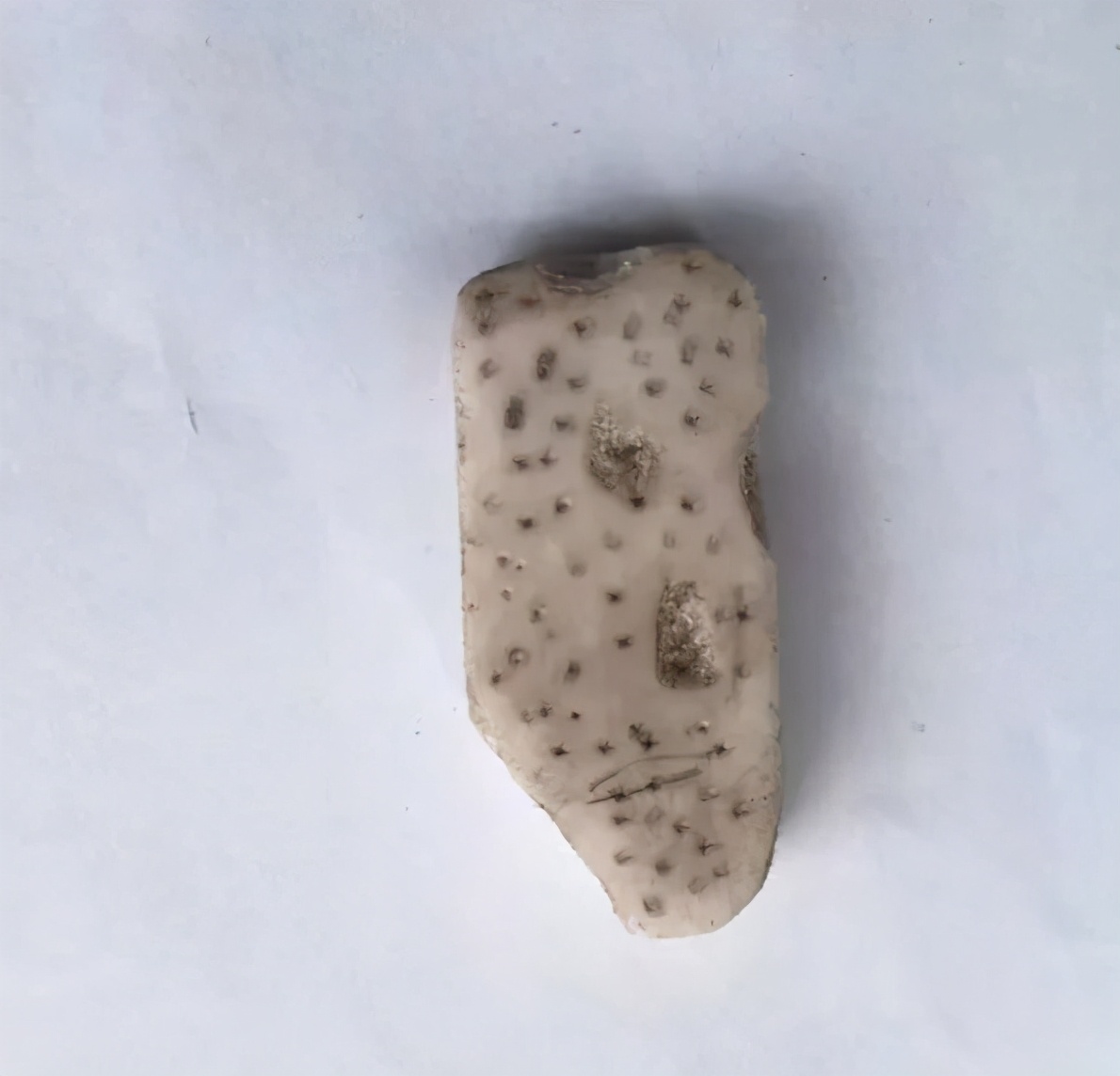 偷看孩子的视频的后果,偷看孩子学习视频