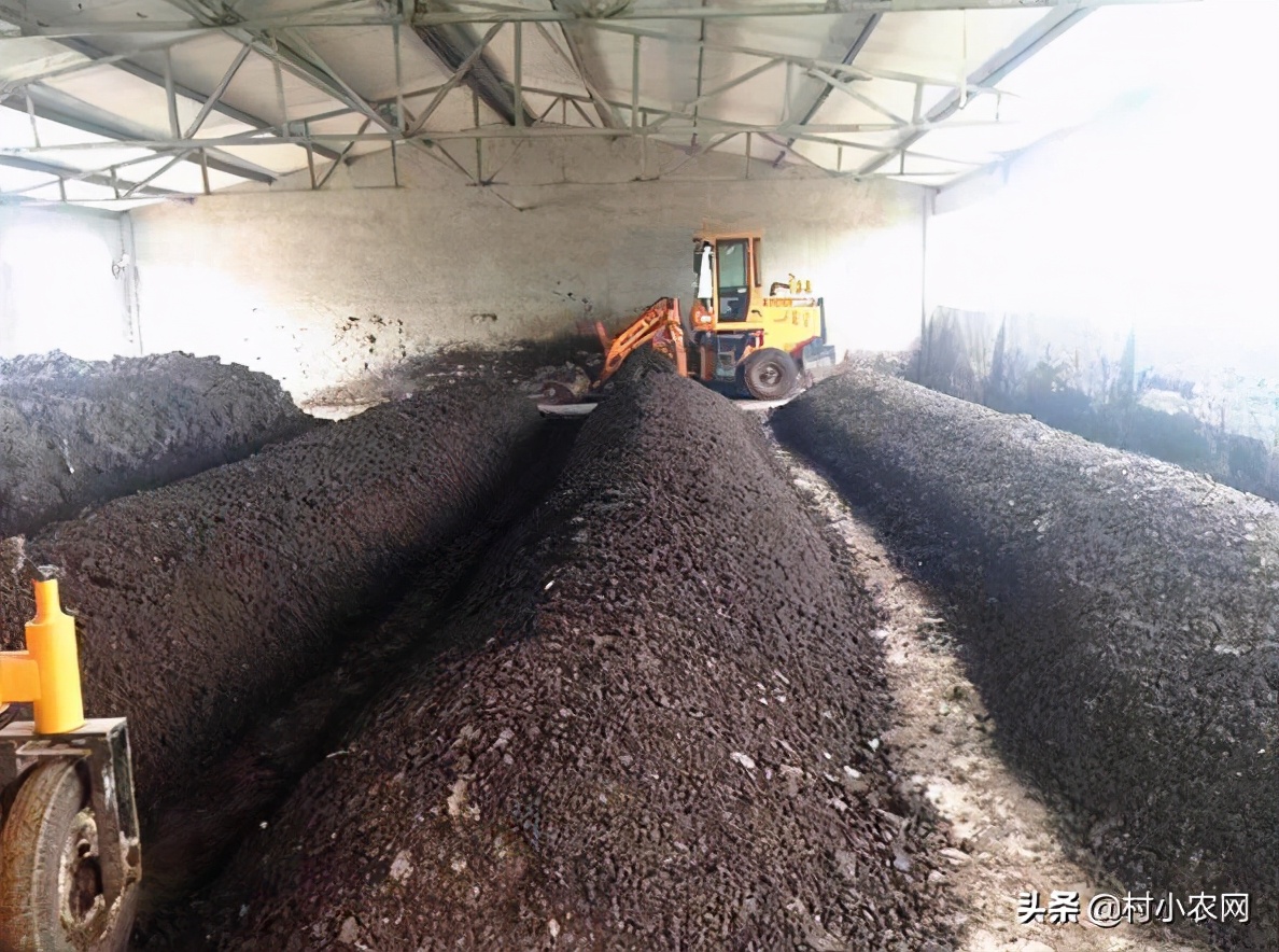 20个农村创业致富小项目,2021农村创业致富项目