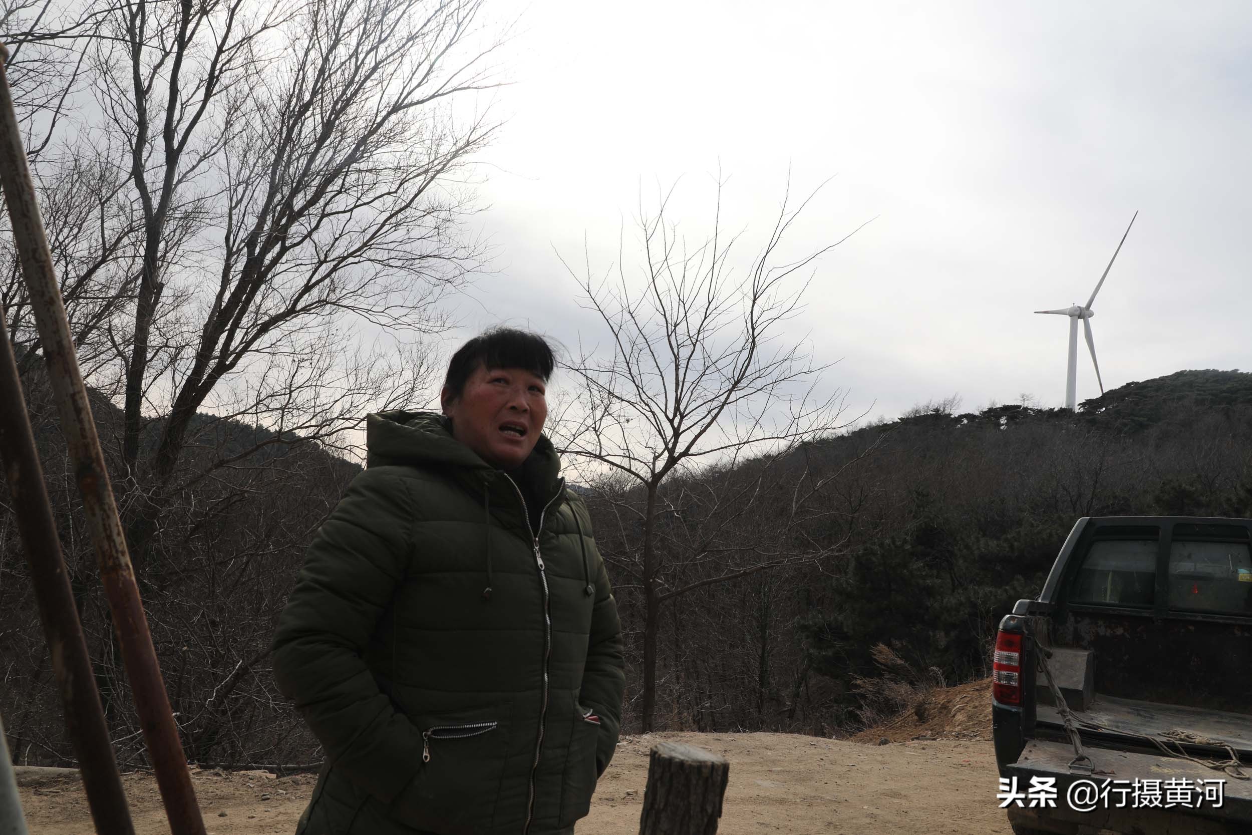 90后夫妻山中搞养殖飞鸡,6旬夫妻深山养牛