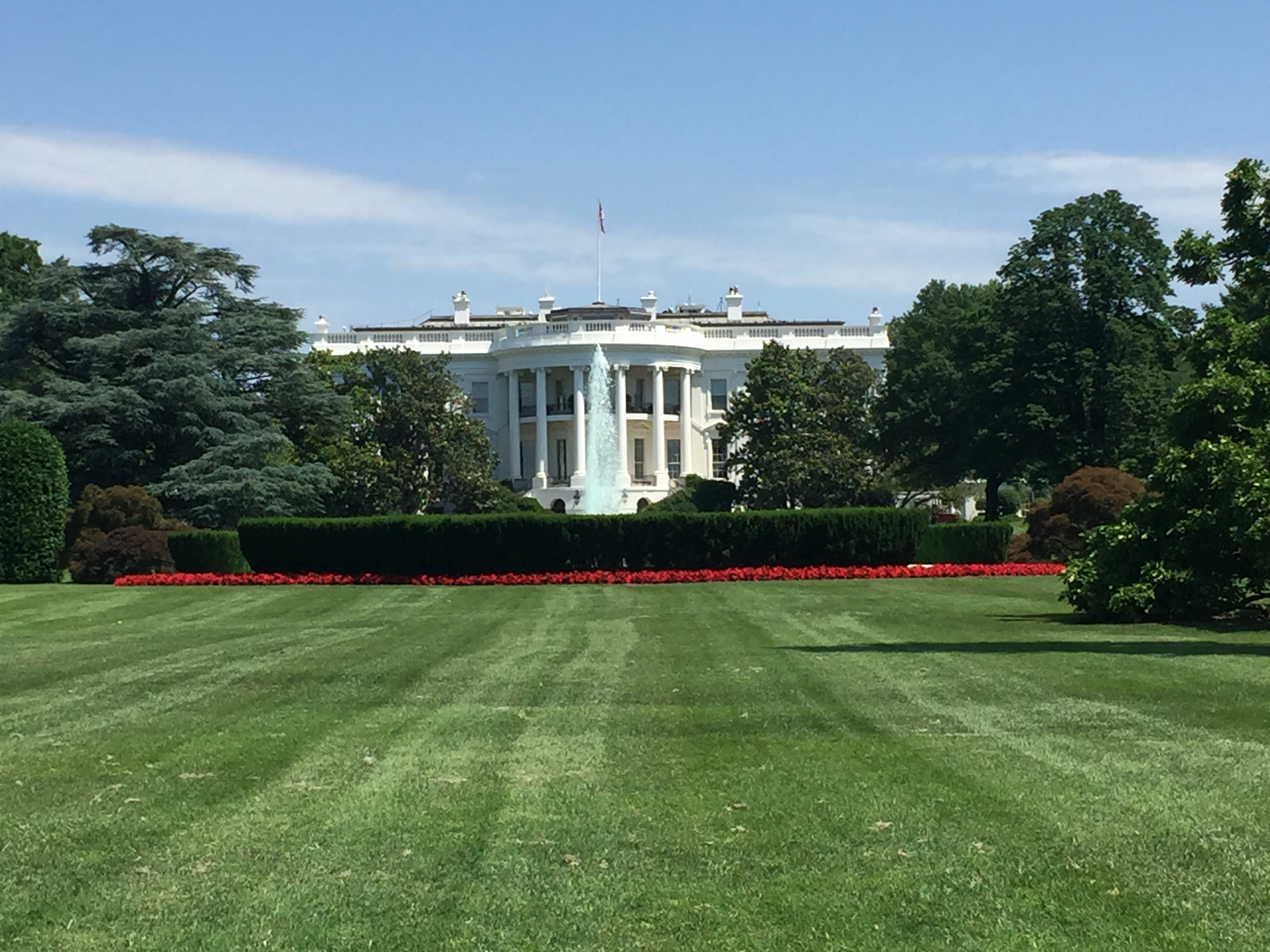 北京遇上西雅图导演,北京遇上西雅图汤唯