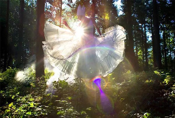 双语诵读:彼作我梦文‖安娜翻译‖田宇诵读‖森森不息百惠
