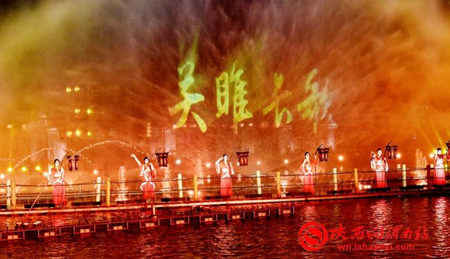 冬天来合阳,赏万顷芦荡,候鸟齐飞(组图)