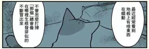 假如自己变成猫是什么体验,从人类变成猫是什么体验