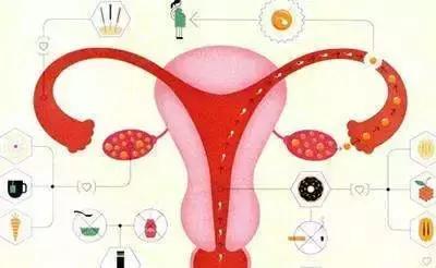 卵巢早衰，人易老！这5种表现都在告诉你：不保护就老了