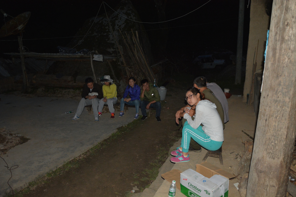 野蜂的口粮极为珍稀,一年等一次,再危险我们也要去“盗”一些!