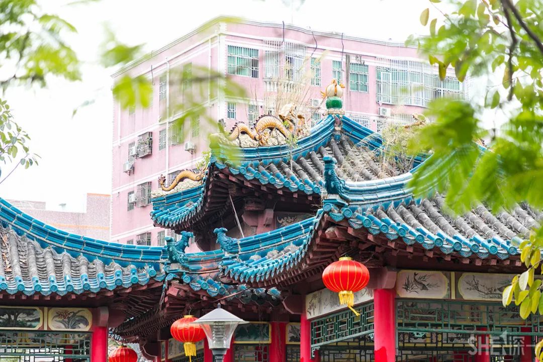 疫情期间免费开放的公园,疫情期间开放的公园有哪些